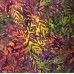 Seasonal Love Series